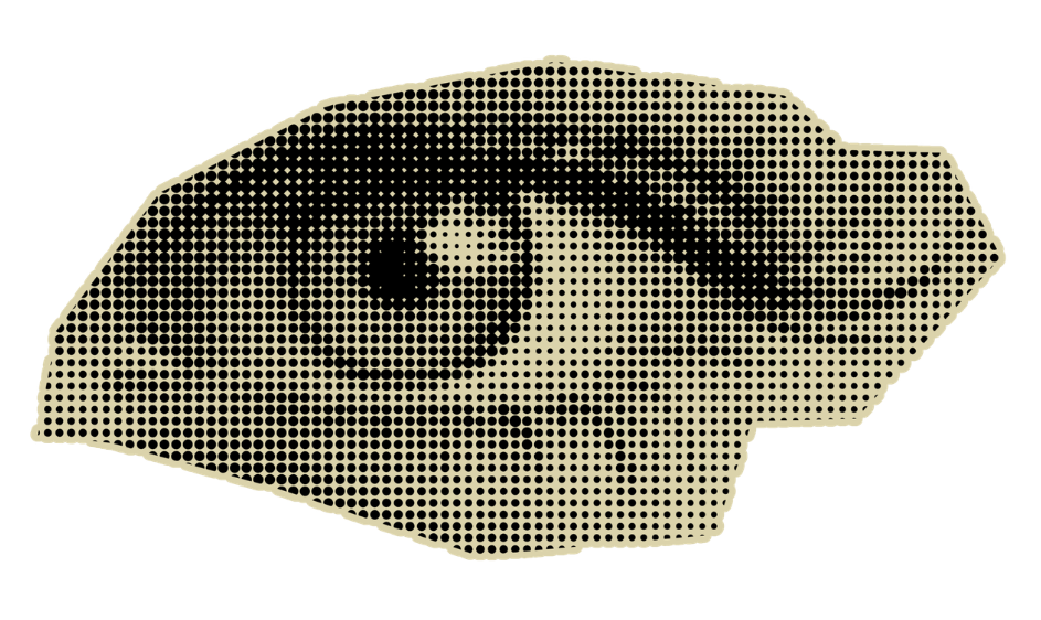 grafika oka
